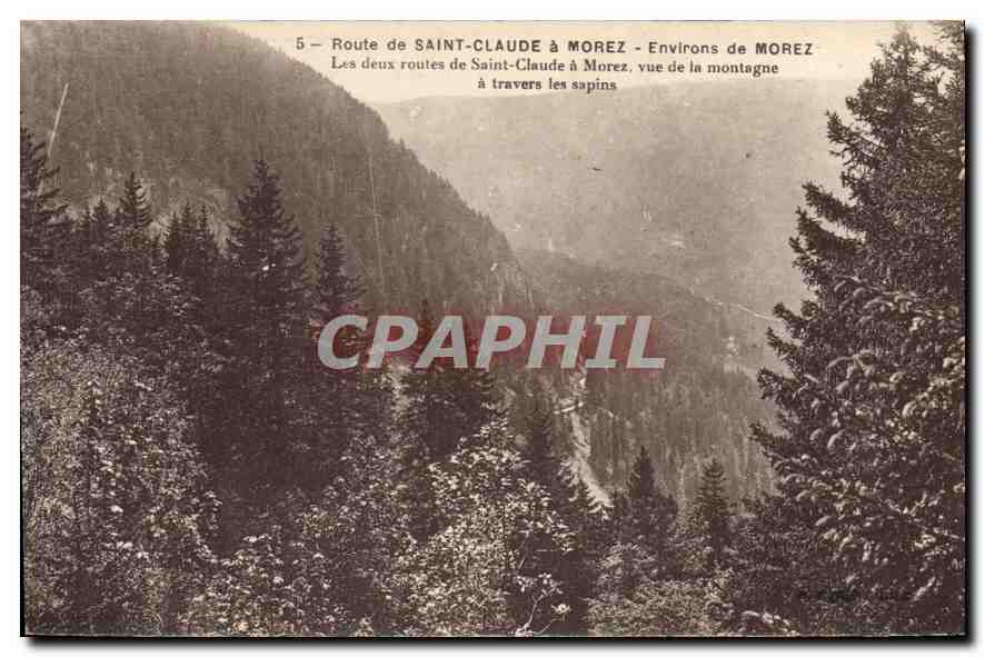 Route de Saint-Claude à Morez — Environs de Morez — vue de la montagne à travers les sapins
