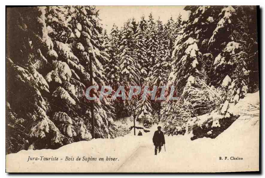 CPA Jura Touriste Bois de Sapins en hiver 