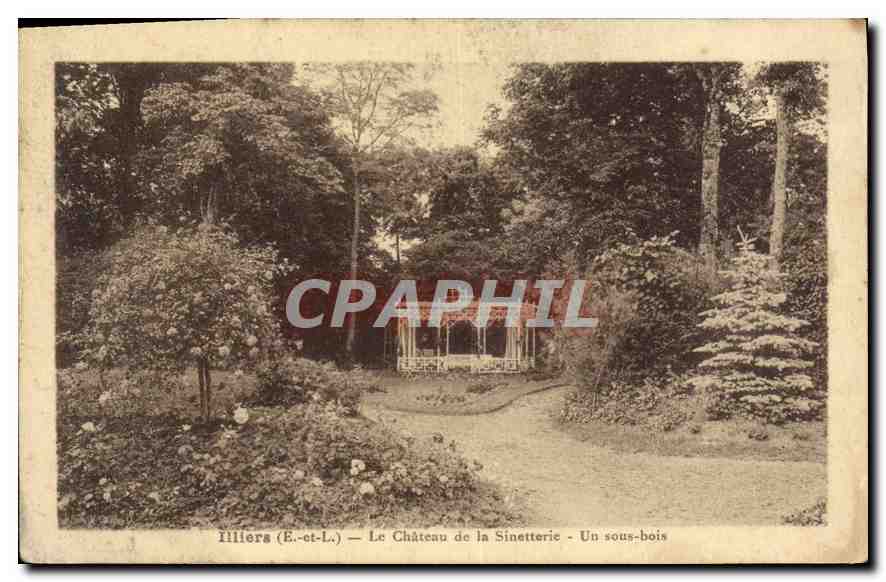 Illiers (E.-et-L.) — Le Château de la Sinetterie — Un sous-bois