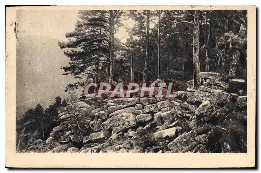 CPA Mont Sainte Odile le Mur Paien 