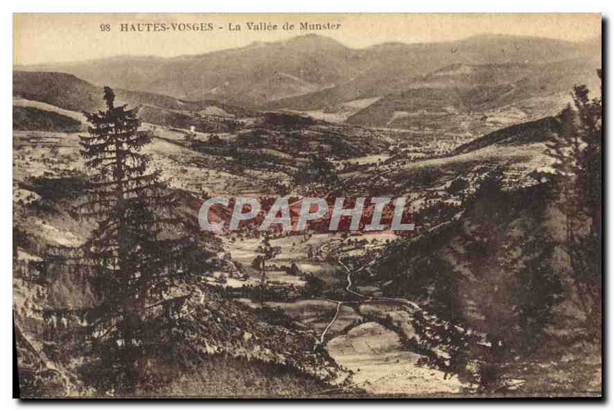 CPA Hautes Vosges La Vallee de Munster 