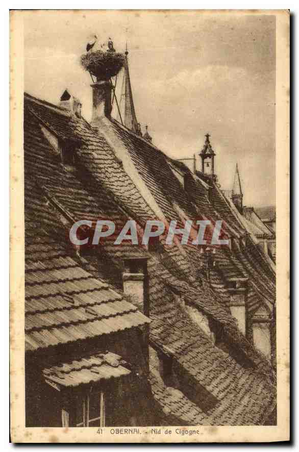 CPA Obernai Nid de Cigogne 