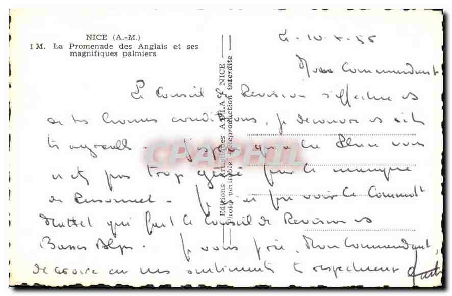 CPA Nice A M La promenade des Anglais et ses magnifiquens palmiers  — Rückseite
