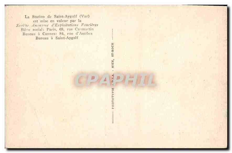 CPA Saint Aygulf Une pinede sur le rivage  — Rückseite