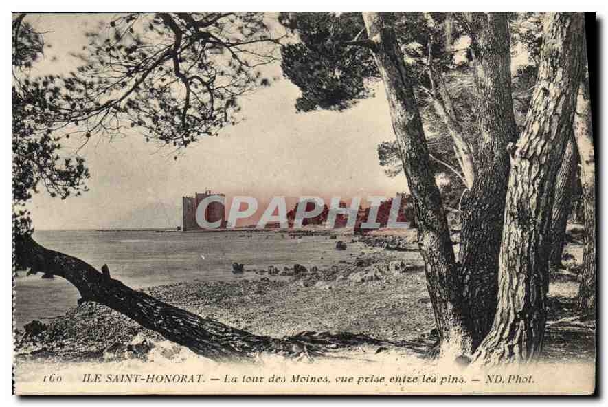 Île Saint-Honorat — La tour des Moines, vue prise entre les pins — ND. Phot.