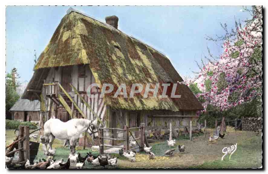 CPA La Normandie Toute la Ferme 