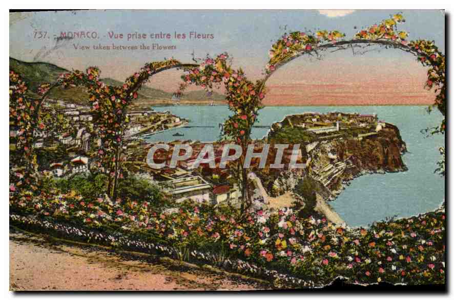 CPA Monaco vue prise entre les Fleurs 