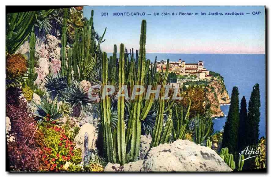 CPA Monta Carlo un coin du Rocher et les Jardins exotiques 