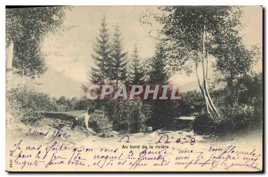 CPA Au bord de la Riviere 