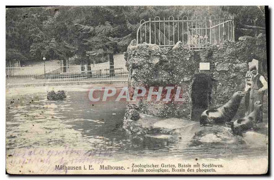 Mulhouse - Jardin zoologique, Bassin des phoques