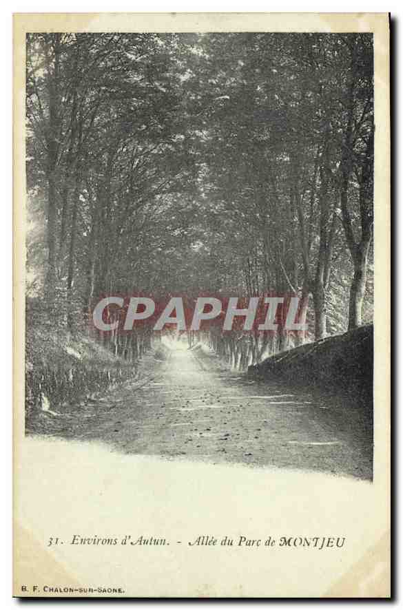 CPA Environs d'Autun Allee du Parc de Montjeu 