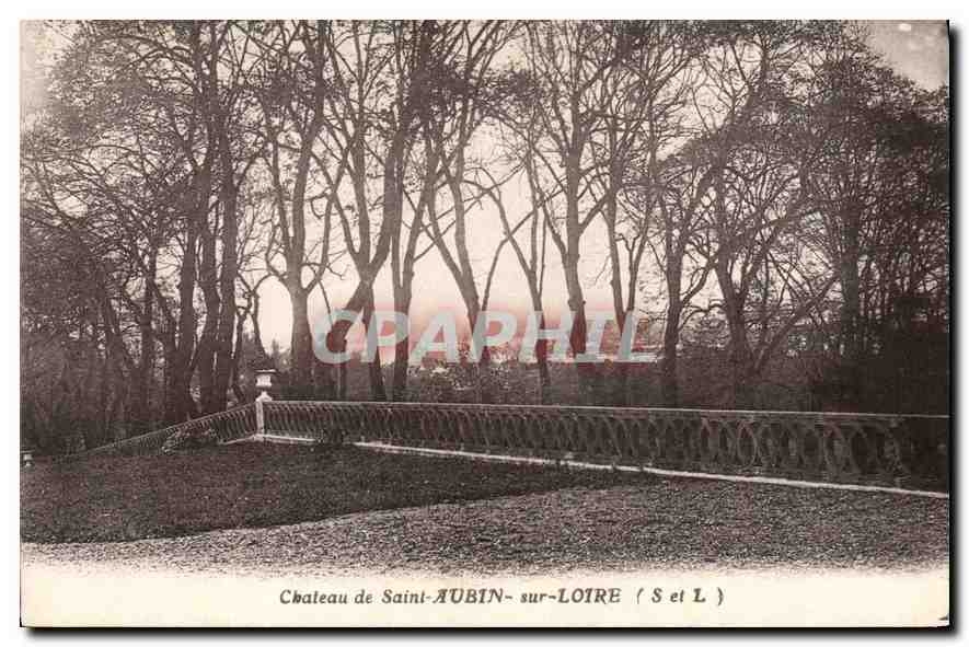 CPA Chateau de saint Aubin sur Loire S et L 