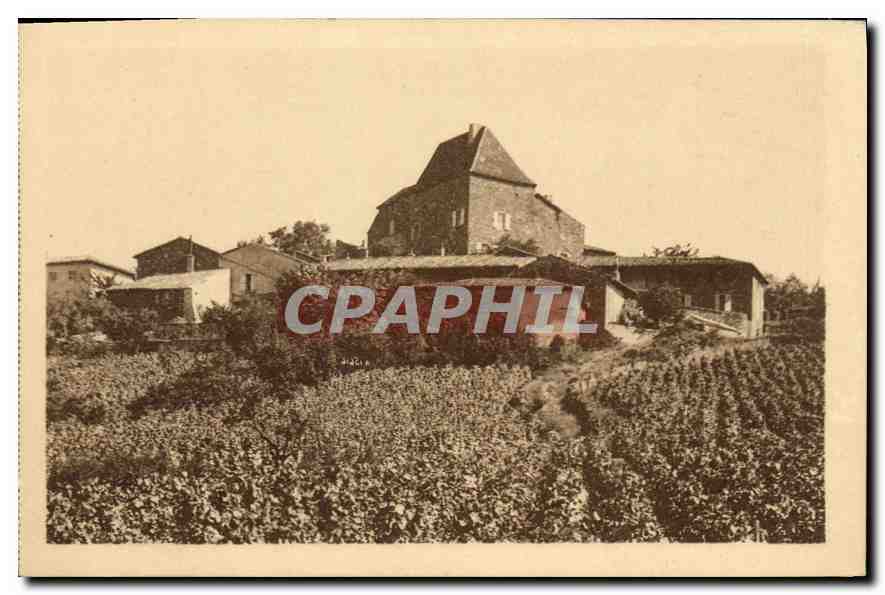 Leynes — Château et vignes — Imprimerie de Hulin-sur-Saône
