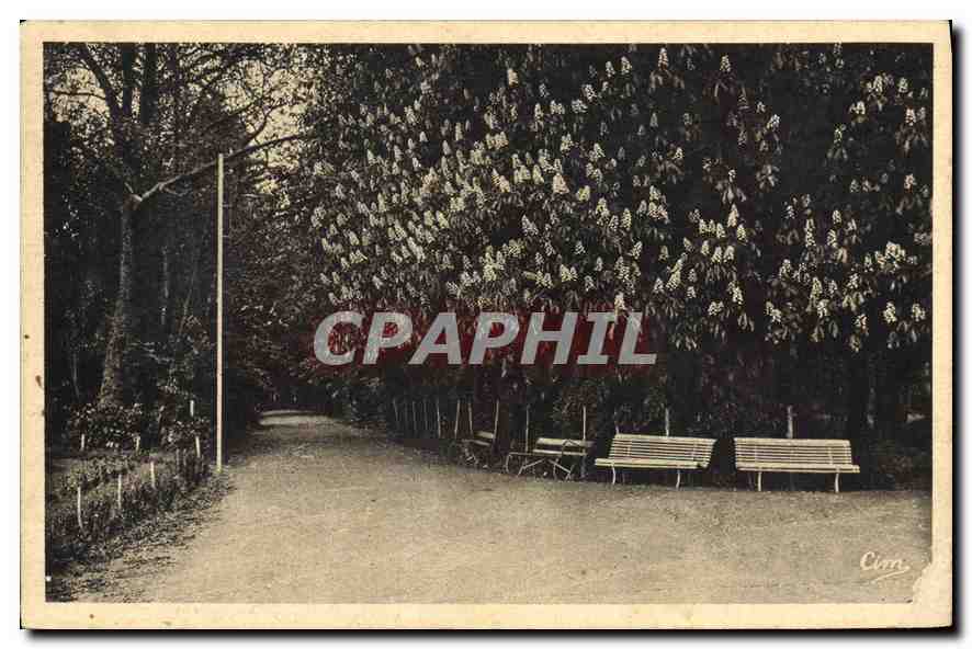 CPA Sanatorium de Mardor S et L La Grande Allee 