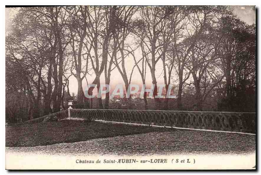 CPA Chateau de Saint Aubin sur Loire S et L 