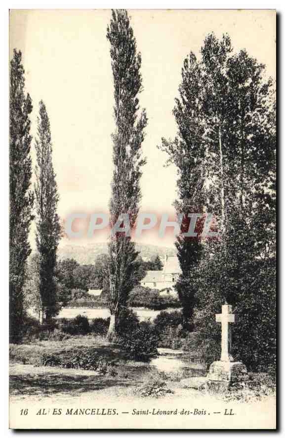 CPA Alpes Mancelles Saint Leonard des Bois 