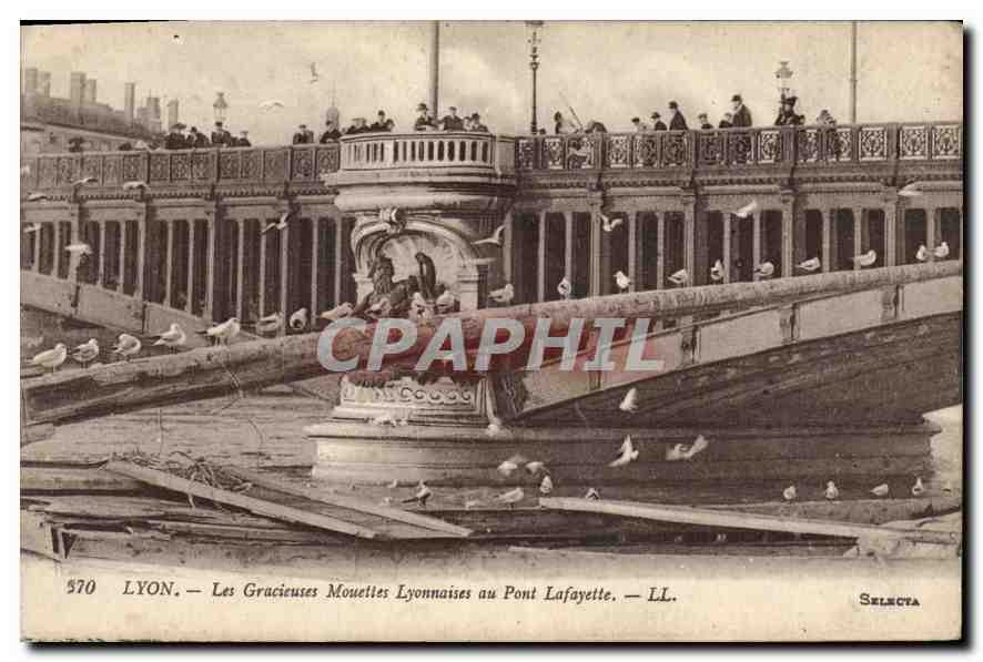 CPA Lyon Les Gracieuses Mouettes Lyonnaises au Pont Lafayette