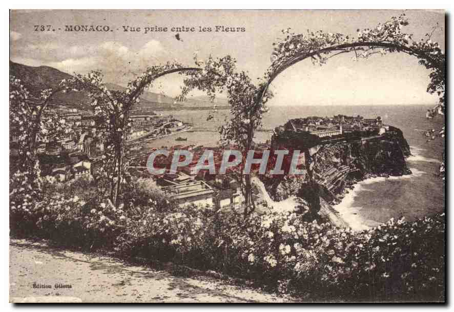 CPA Monaco Vue prise entre les Fleurs