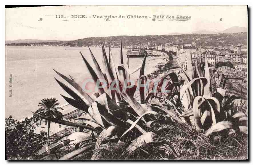 CPA Nice Vue prise du Chateau Baie des Augeu