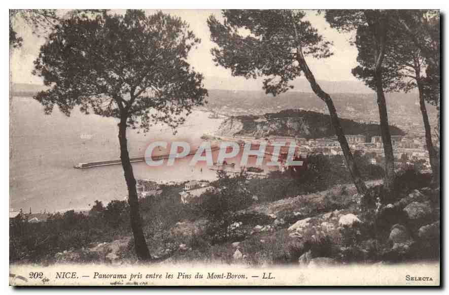 CPA Nice Panorama pris entre les Pins du Mont Boron