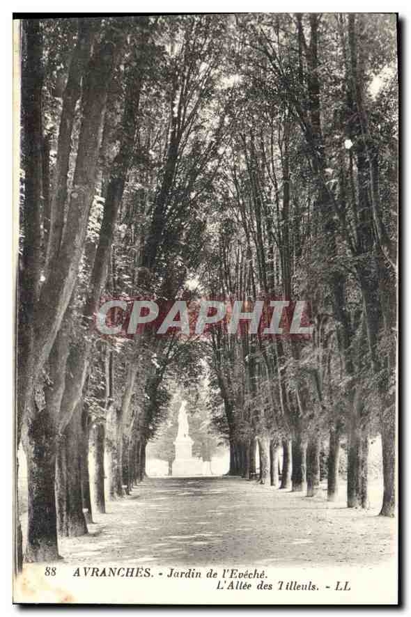 Avranches - Jardin de l'Évêché. L'Allée des Tilleuls - LL