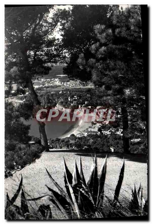 CPA Costa Brava (Gerona) Palafrugell Panoramice Liafranch Calella