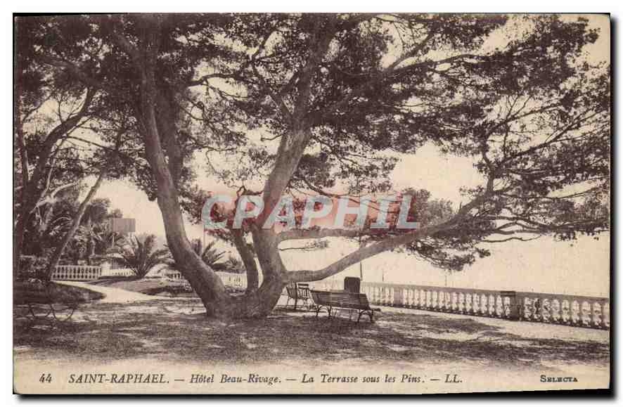 Saint-Raphaël — Hôtel Beau-Rivage — La Terrasse sous les Pins — Selecta 44