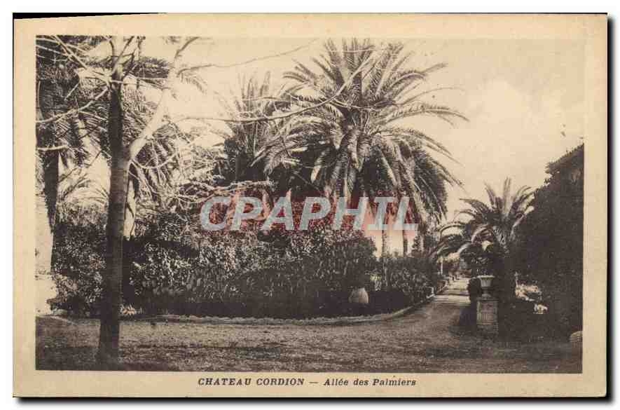 CPA Chateau Cordion Allee des Palmiers