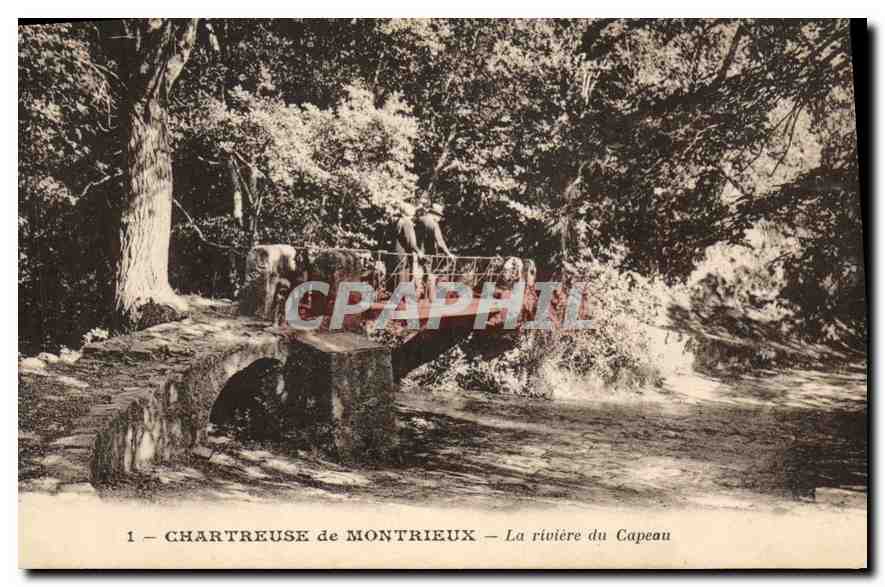CPA Chartreuse de Montrieux La Riviere du Capeau 