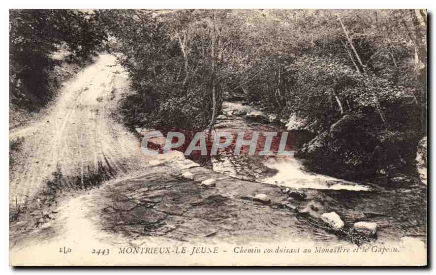 Montrieux-le-Jeune — Chemin conduisant au Monastère et le Gapeu — Éditeur ELD n°2443
