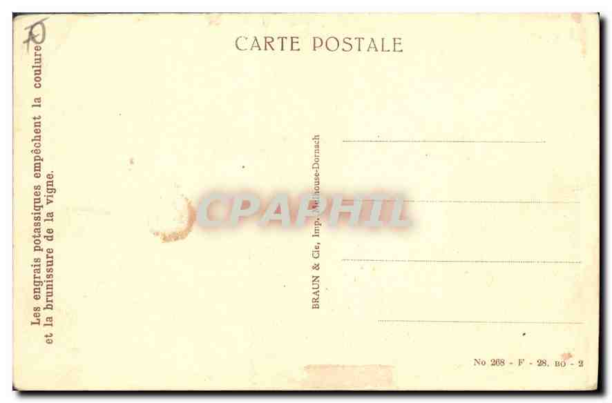 Mulhouse — L'Hôtel des Postes et le Pont du Canal — Braun & Cie, Imp. Mulhouse-Dornach, No 268 — Rückseite