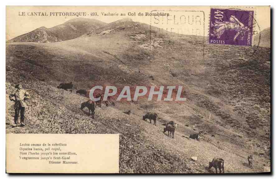 CPA Le Cantal Pittoresque Vacherie au Col de Rombiere Vaches