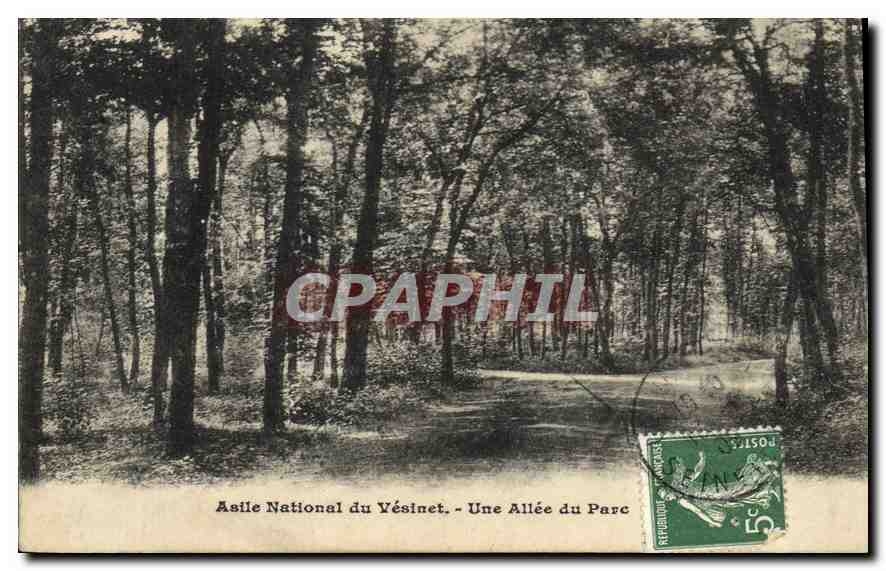 Asile National du Vésinet - Une Allée du Parc