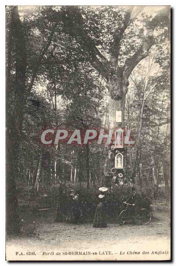 Forêt de St-GERMAIN-en-LAYE — Le Chêne des Anglais — F.A. 6203