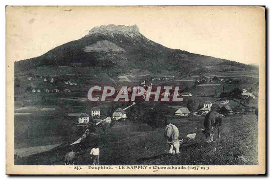 CPA Dauphine le Sappey Chamechaude Vaches