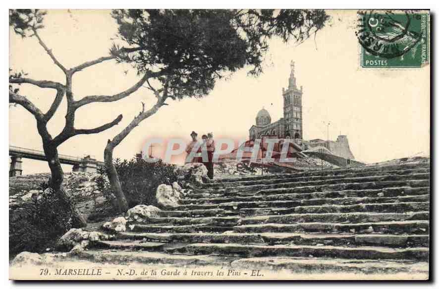 CPA Marseille N D de la garde a travers les Pins 