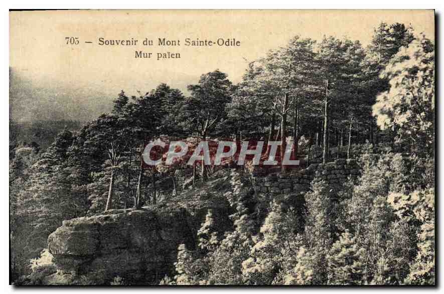 CPA Souvenir du Mont Sainte Odile Mur Palen 