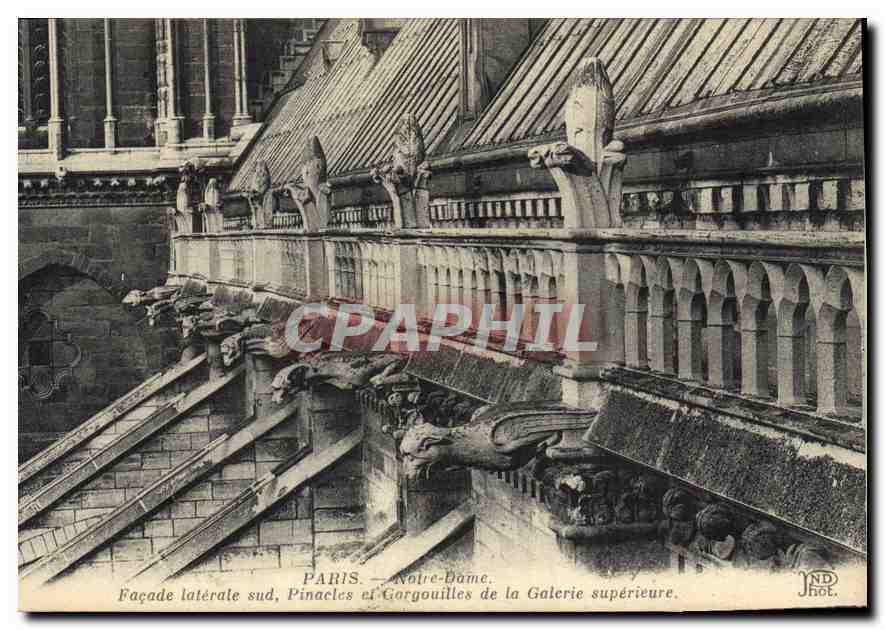 CPA Paris Notre Dame Facade Laterate sud Pinacles et Gorgouilles de la Galerie Superieure 