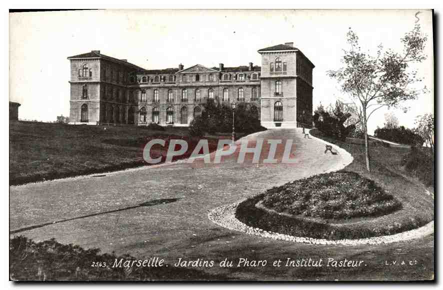 CPA Marseille Jardins du Pharo et Institut Pasteur 