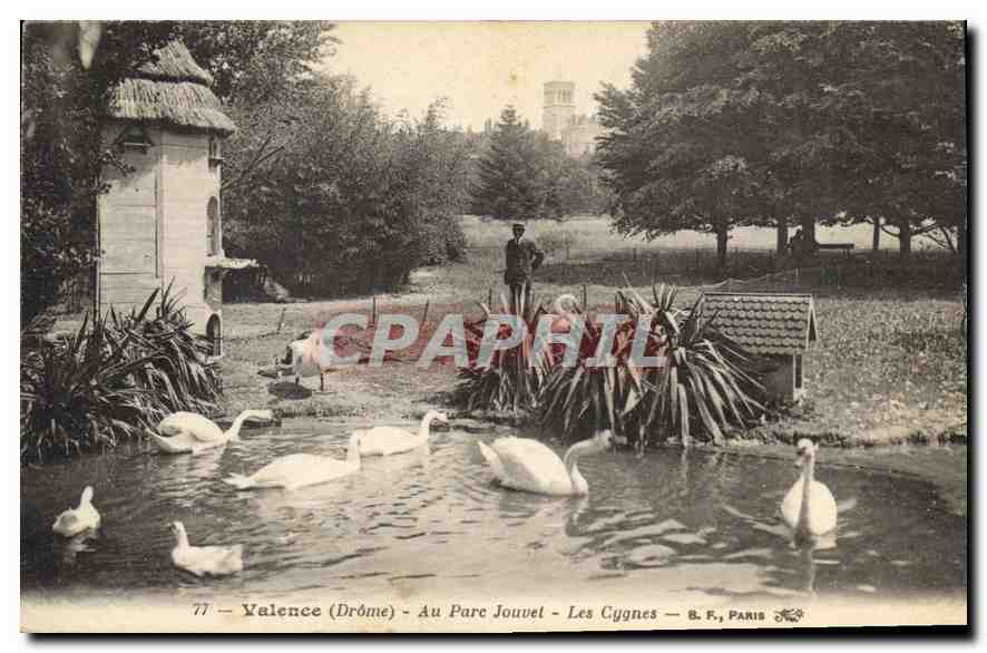 CPA Valence (Drome) Au Parc Jouvet Les Cygnes