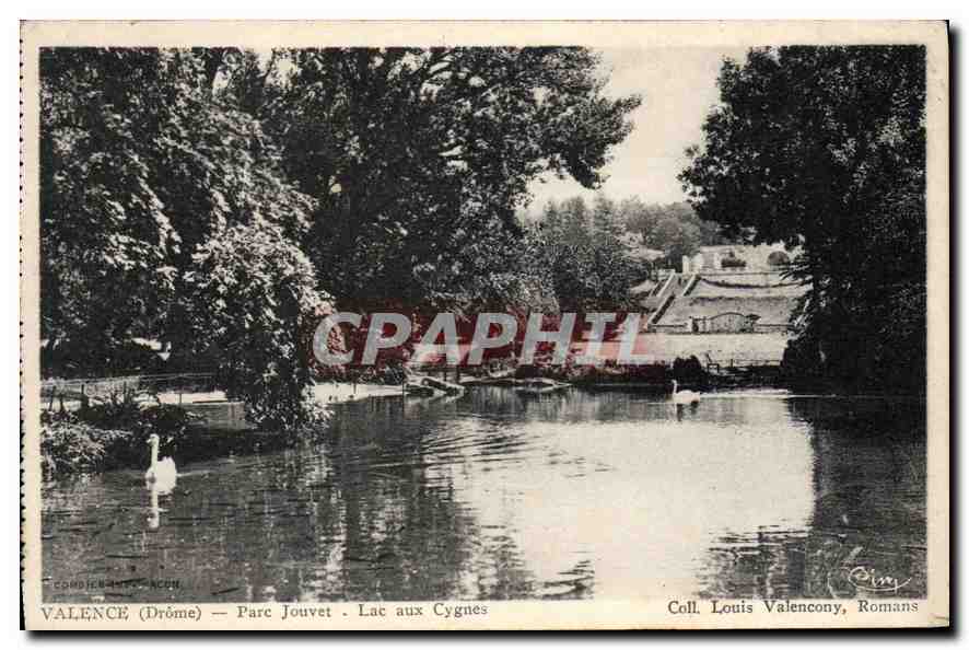 CPA Valence (Drome) Parc Jouvet Lac aux Cygnes
