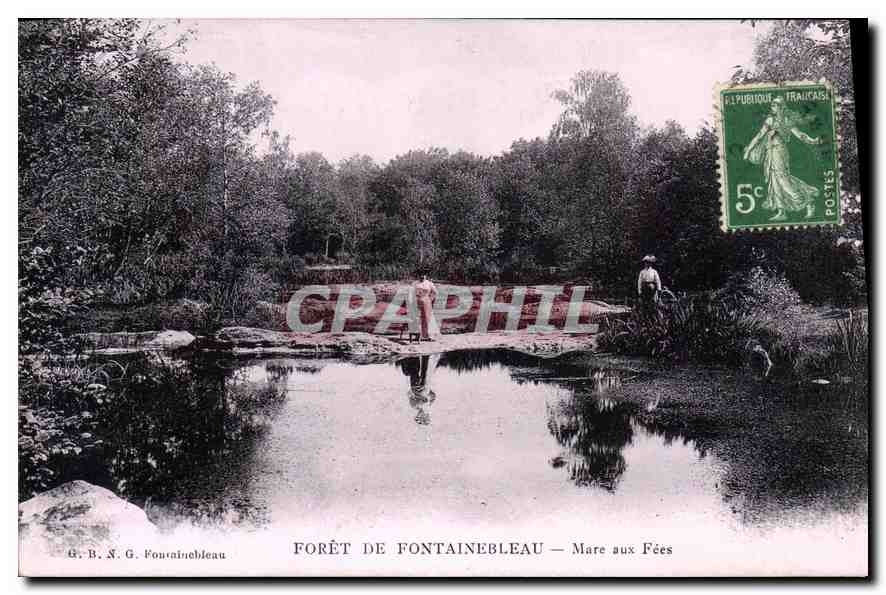Forêt de Fontainebleau — Mare aux Fées — G. B. N. G. Fontainebleau