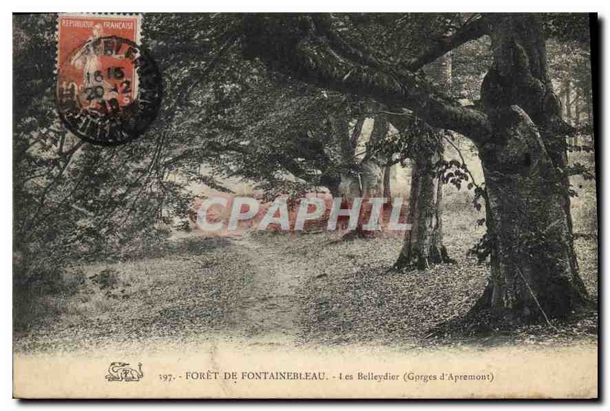 Forêt de Fontainebleau — Les Belleydier (Gorges d'Apremont) — CPAPHIL 397