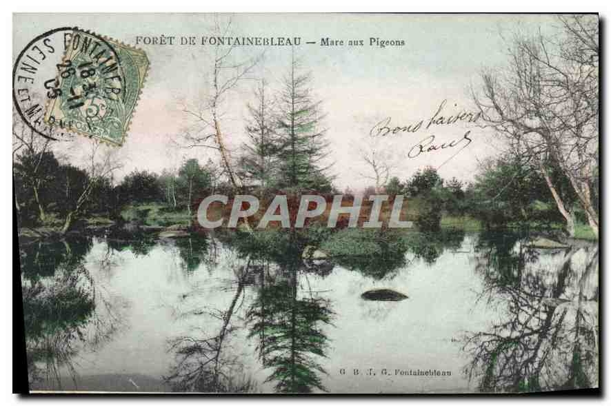 Forêt de Fontainebleau — Mare aux Pigeons — G. B. J. G. Fontainebleau