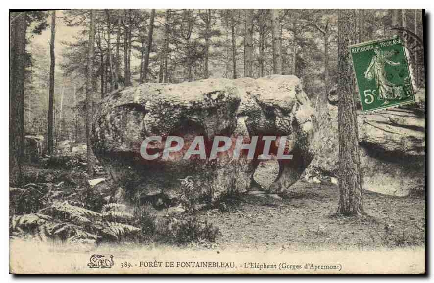 Wald von Fontainebleau — Der Elefant (Gorges d'Apremont) — Verleger unbekannt, Nr. 389