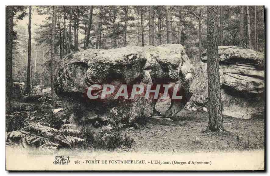 Forêt de Fontainebleau — Der Elefant (Gorges d'Apremont) — n° 389