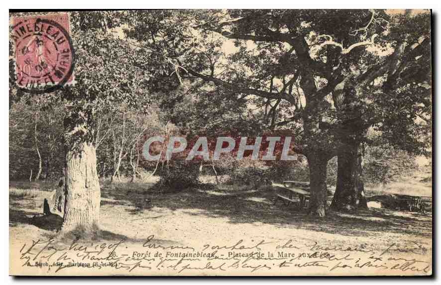 Forêt de Fontainebleau — Plateau de la Mare aux Dées — Verleger unbekannt, Seriennummer nicht sichtbar - Vorderseite
