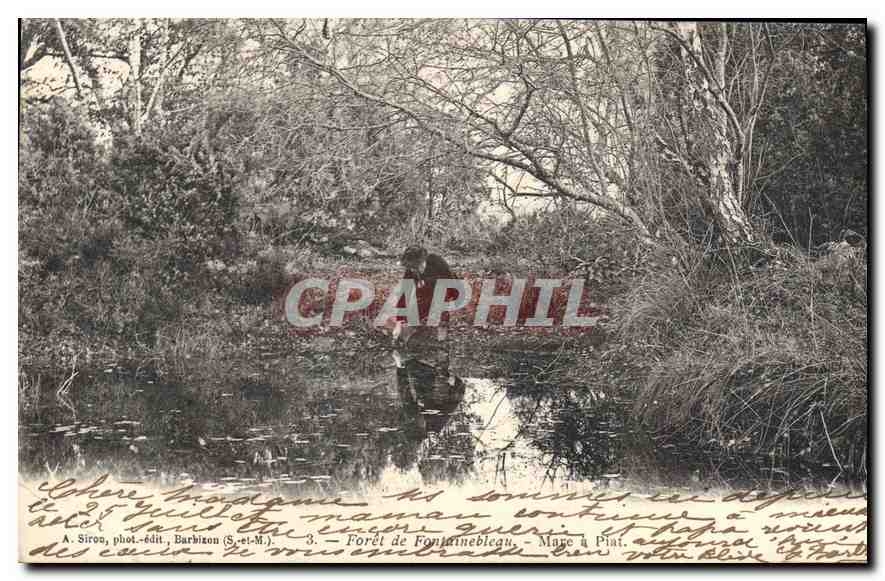 Forêt de Fontainebleau — Mare à Pisti — A. Siroa, phot.-édit., Barbizon (S.-et-M.)