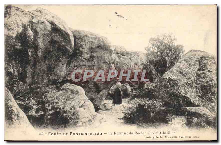 Foresta di Fontainebleau — Il Rempart du Rocher Cuvier-Châillion — Fototipia L. MÉNARD, Fontainebleau