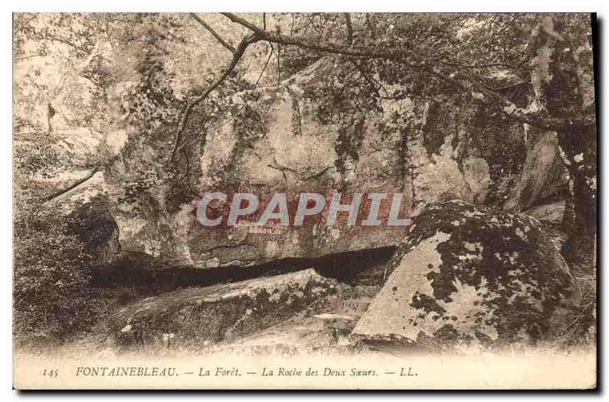Fontainebleau — La Forêt — La Roche des Deux Sœurs — LL. — N° 145